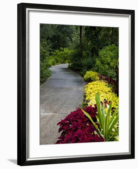 Harry P. Leu Gardens, Orlando, Florida, United States of America, North America-Michael DeFreitas-Framed Photographic Print