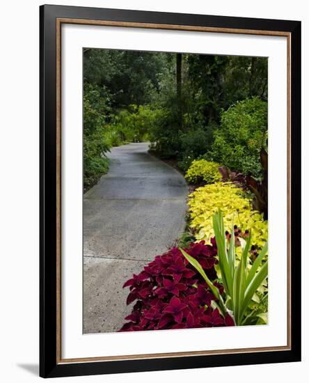 Harry P. Leu Gardens, Orlando, Florida, United States of America, North America-Michael DeFreitas-Framed Photographic Print