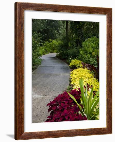 Harry P. Leu Gardens, Orlando, Florida, United States of America, North America-Michael DeFreitas-Framed Photographic Print