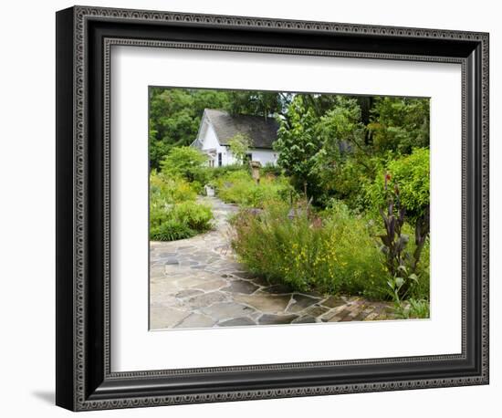 Harry P. Leu Gardens, Orlando, Florida, United States of America, North America-Michael DeFreitas-Framed Photographic Print