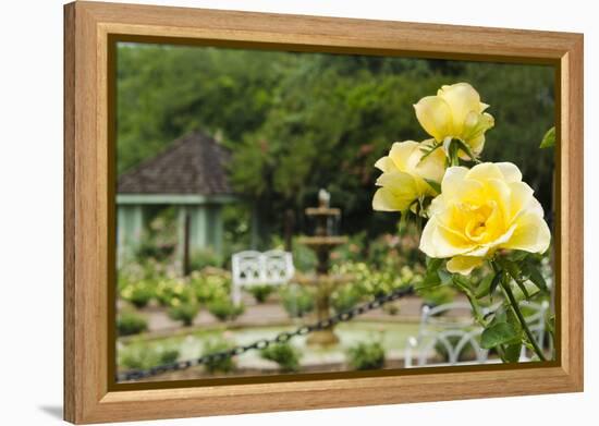 Harry P. Leu Gardens Orlando, Florida, USA-Michael DeFreitas-Framed Premier Image Canvas