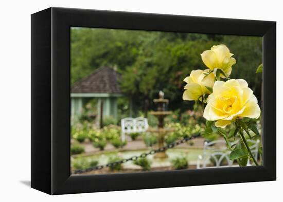 Harry P. Leu Gardens Orlando, Florida, USA-Michael DeFreitas-Framed Premier Image Canvas