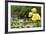 Harry P. Leu Gardens Orlando, Florida, USA-Michael DeFreitas-Framed Photographic Print