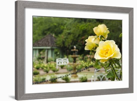 Harry P. Leu Gardens Orlando, Florida, USA-Michael DeFreitas-Framed Photographic Print