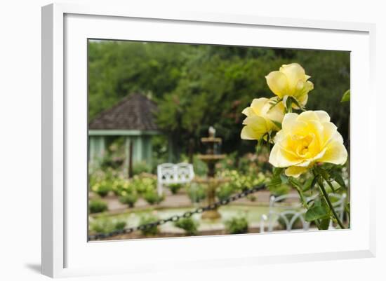 Harry P. Leu Gardens Orlando, Florida, USA-Michael DeFreitas-Framed Photographic Print