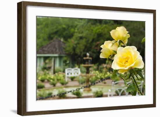 Harry P. Leu Gardens Orlando, Florida, USA-Michael DeFreitas-Framed Photographic Print