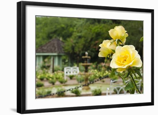 Harry P. Leu Gardens Orlando, Florida, USA-Michael DeFreitas-Framed Photographic Print