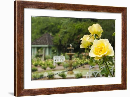 Harry P. Leu Gardens Orlando, Florida, USA-Michael DeFreitas-Framed Photographic Print