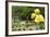 Harry P. Leu Gardens Orlando, Florida, USA-Michael DeFreitas-Framed Photographic Print