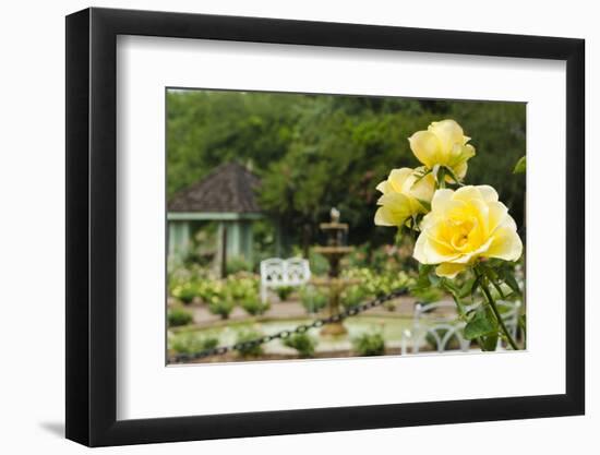 Harry P. Leu Gardens Orlando, Florida, USA-Michael DeFreitas-Framed Photographic Print