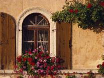 Window with Shutters and Window Box, Italy, Europe-Hart Kim-Photographic Print