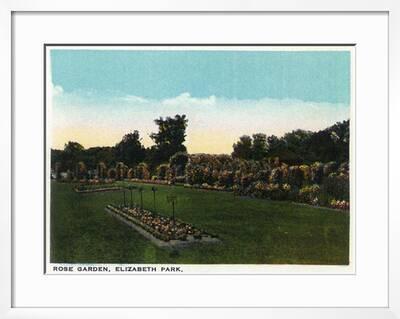 Hartford Connecticut Elizabeth Park Rose Garden Art Print Lantern Press Art Com