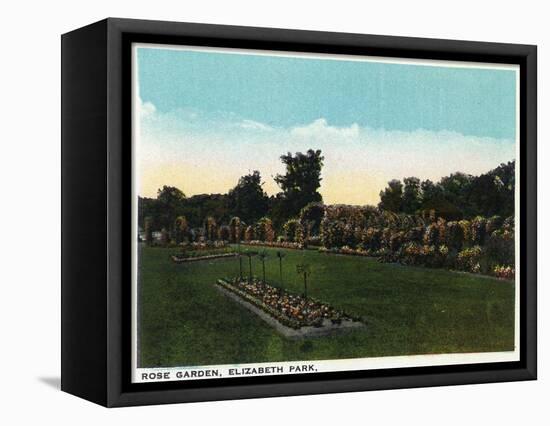 Hartford, Connecticut - Elizabeth Park Rose Garden-Lantern Press-Framed Stretched Canvas