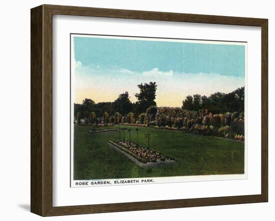 Hartford, Connecticut - Elizabeth Park Rose Garden-Lantern Press-Framed Art Print