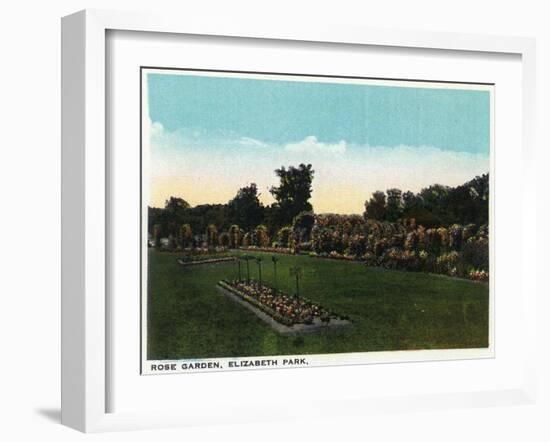 Hartford, Connecticut - Elizabeth Park Rose Garden-Lantern Press-Framed Art Print