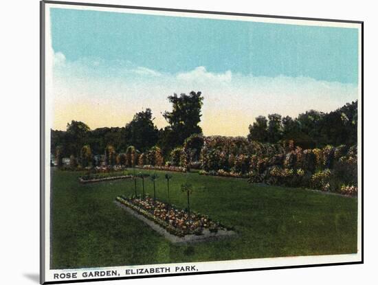 Hartford, Connecticut - Elizabeth Park Rose Garden-Lantern Press-Mounted Art Print
