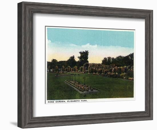 Hartford, Connecticut - Elizabeth Park Rose Garden-Lantern Press-Framed Art Print