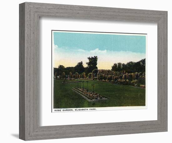 Hartford, Connecticut - Elizabeth Park Rose Garden-Lantern Press-Framed Art Print