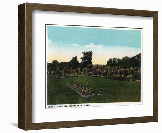 Hartford, Connecticut - Elizabeth Park Rose Garden-Lantern Press-Framed Art Print