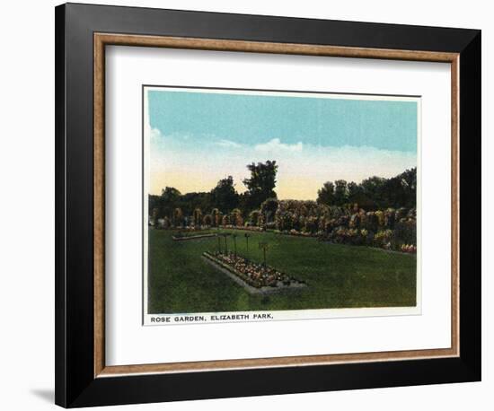 Hartford, Connecticut - Elizabeth Park Rose Garden-Lantern Press-Framed Art Print