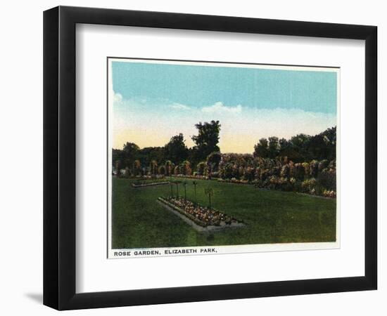 Hartford, Connecticut - Elizabeth Park Rose Garden-Lantern Press-Framed Art Print