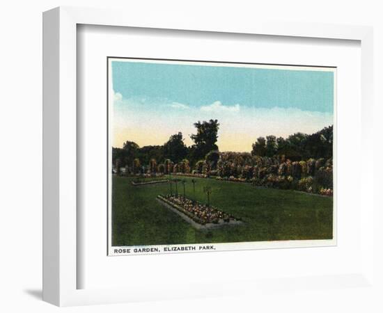 Hartford, Connecticut - Elizabeth Park Rose Garden-Lantern Press-Framed Art Print