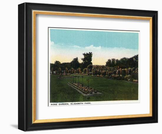 Hartford, Connecticut - Elizabeth Park Rose Garden-Lantern Press-Framed Art Print