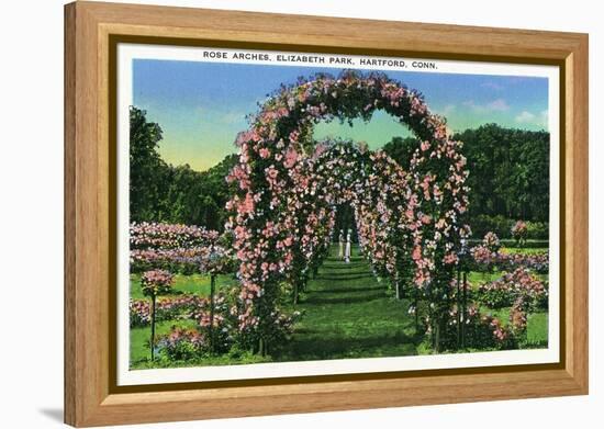 Hartford, Connecticut - Elizabeth Park View of the Rose Arches-Lantern Press-Framed Stretched Canvas