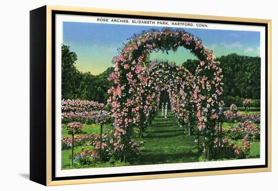 Hartford, Connecticut - Elizabeth Park View of the Rose Arches-Lantern Press-Framed Stretched Canvas