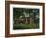 Hartford, Connecticut - Mark Twain's House-Lantern Press-Framed Art Print