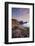 Hartland Quay, coastline with flowering Thrift, Devon, UK-Ross Hoddinott-Framed Photographic Print