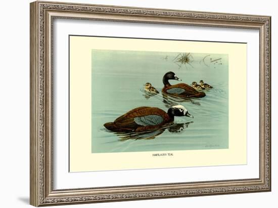 Hartlaus's Teal-Louis Agassiz Fuertes-Framed Art Print