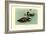 Hartlaus's Teal-Louis Agassiz Fuertes-Framed Art Print