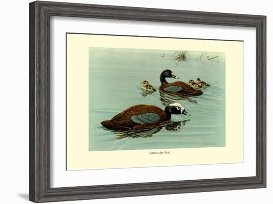 Hartlaus's Teal-Louis Agassiz Fuertes-Framed Art Print