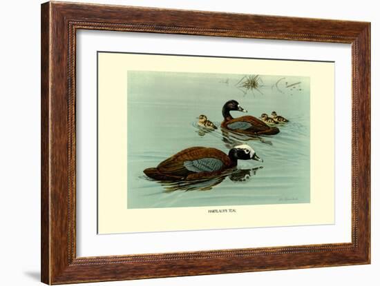 Hartlaus's Teal-Louis Agassiz Fuertes-Framed Art Print