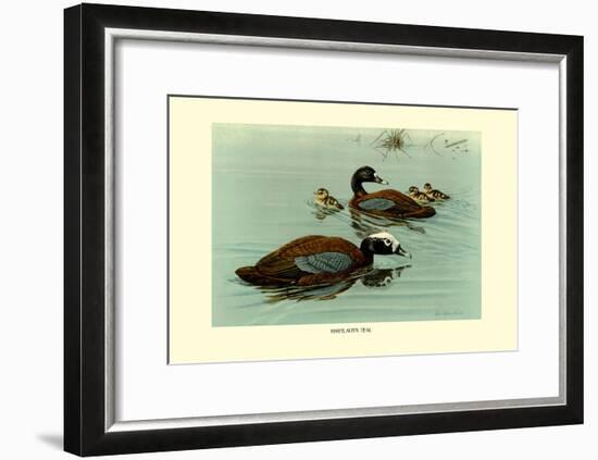 Hartlaus's Teal-Louis Agassiz Fuertes-Framed Art Print