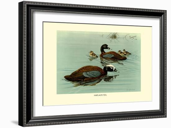 Hartlaus's Teal-Louis Agassiz Fuertes-Framed Art Print