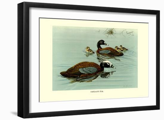 Hartlaus's Teal-Louis Agassiz Fuertes-Framed Art Print