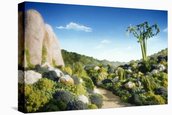 Stretched Canvas Print, , large