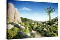 Stretched Canvas Print