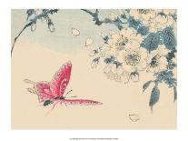 Japanese Pink Butterfly-Haruna Kinzan-Framed Art Print