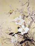 Spring Blossom-Haruyo Morita-Art Print