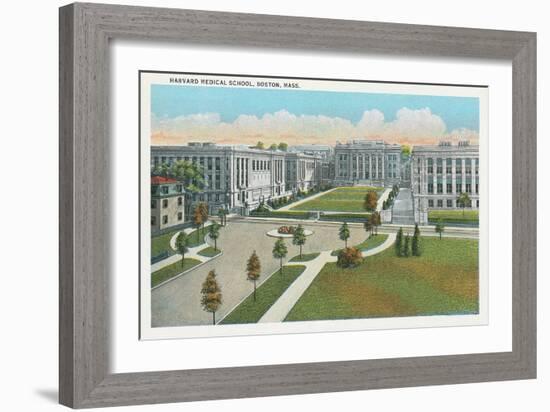 Harvard Medical School, Boston-null-Framed Art Print