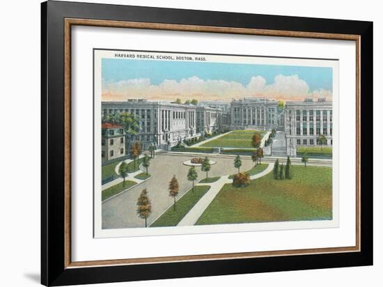 Harvard Medical School, Boston-null-Framed Art Print