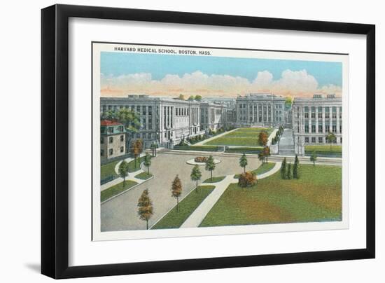 Harvard Medical School, Boston-null-Framed Art Print