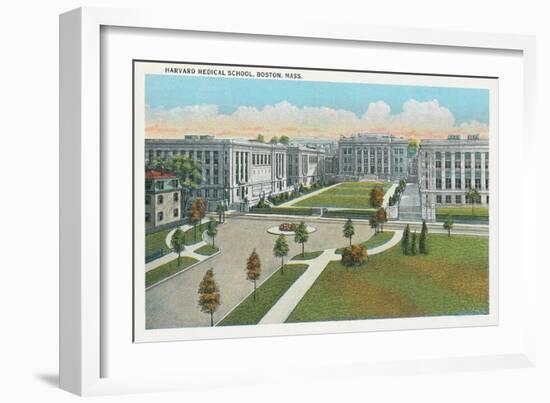 Harvard Medical School, Boston-null-Framed Art Print