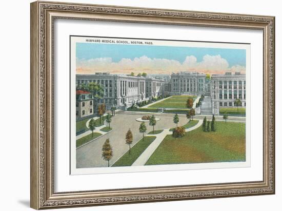 Harvard Medical School, Boston-null-Framed Premium Giclee Print