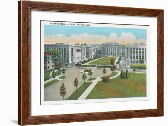 Harvard Medical School, Boston-null-Framed Art Print