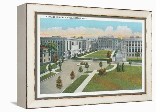 Harvard Medical School, Boston-null-Framed Stretched Canvas