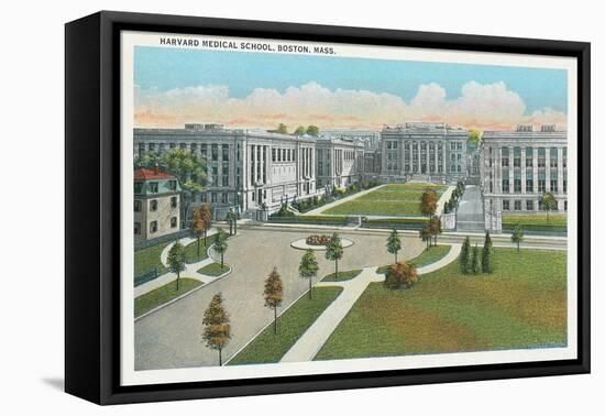 Harvard Medical School, Boston-null-Framed Stretched Canvas